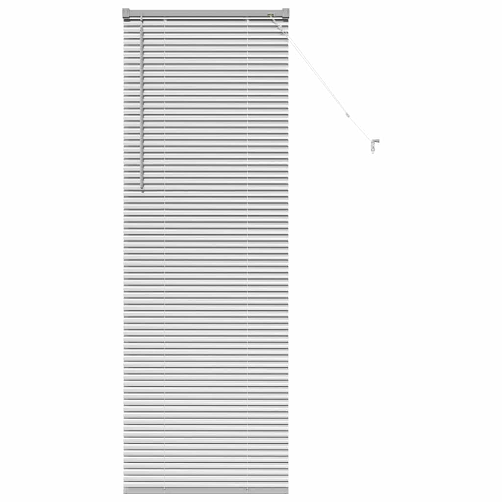 Tendaggi a veneziana Argento 175 x 55 cm Alluminio | homemem39