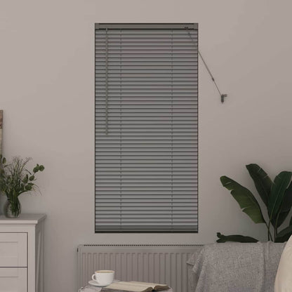 Tendaggi a veneziana Argento 175 x 60 cm Alluminio | homemem39