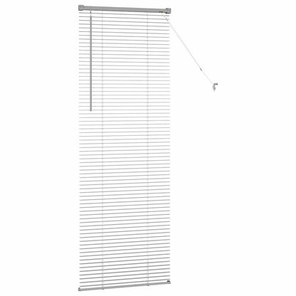 Tendaggi a veneziana Argento 175 x 60 cm Alluminio | homemem39