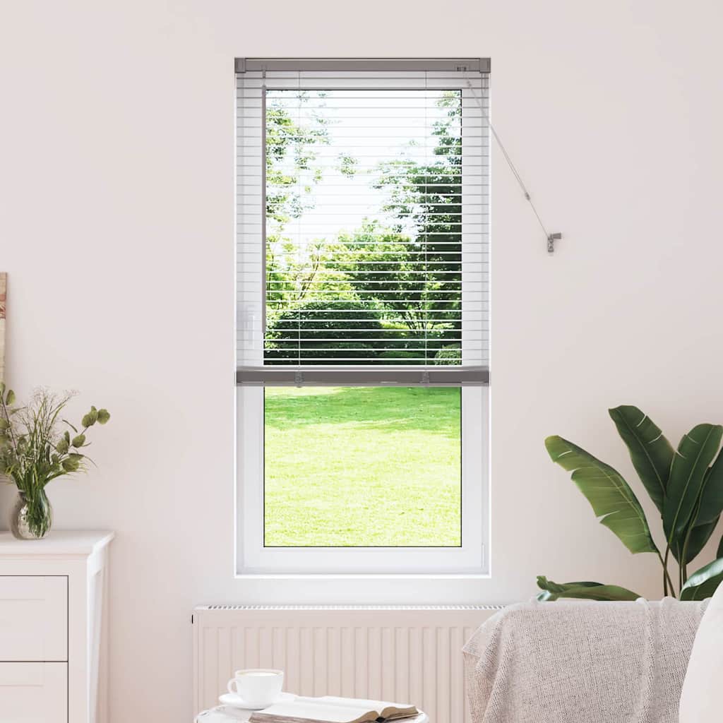 Tendaggi a veneziana Argento 175 x 65 cm Alluminio | homemem39
