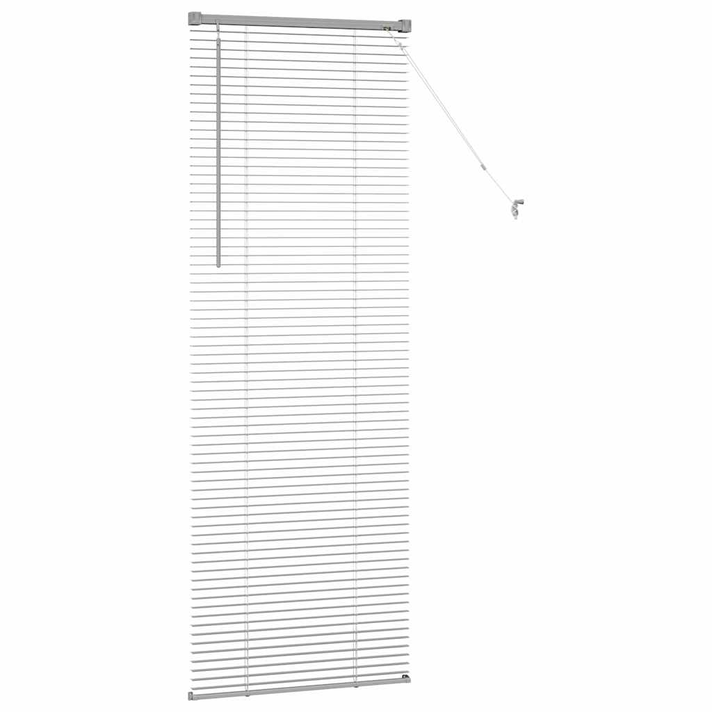 Tendaggi a veneziana Argento 175 x 65 cm Alluminio | homemem39
