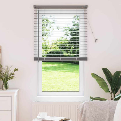 Tendaggi a veneziana Argento 175 x 70 cm Alluminio | homemem39
