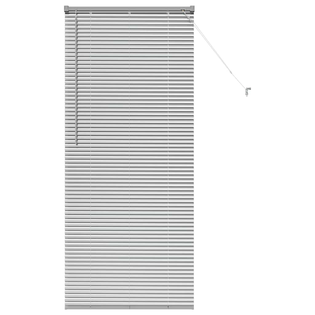 Tendaggi a veneziana Argento 175 x 70 cm Alluminio | homemem39