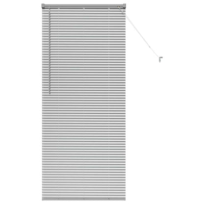 Tendaggi a veneziana Argento 175 x 75 cm Alluminio | homemem39