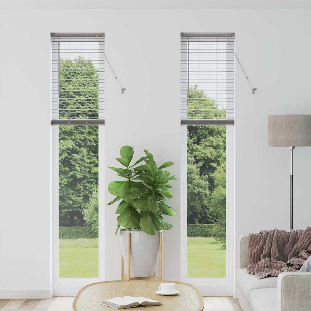 Tendaggi a veneziana Argento 220 x 50 cm Alluminio | homemem39