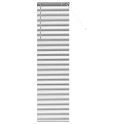 Tendaggi a veneziana Argento 220 x 55 cm Alluminio | homemem39