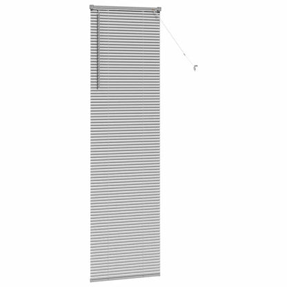 Tendaggi a veneziana Argento 220 x 65 cm Alluminio | homemem39