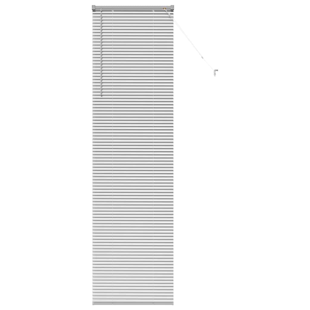 Tendaggi a veneziana Argento 220 x 65 cm Alluminio | homemem39