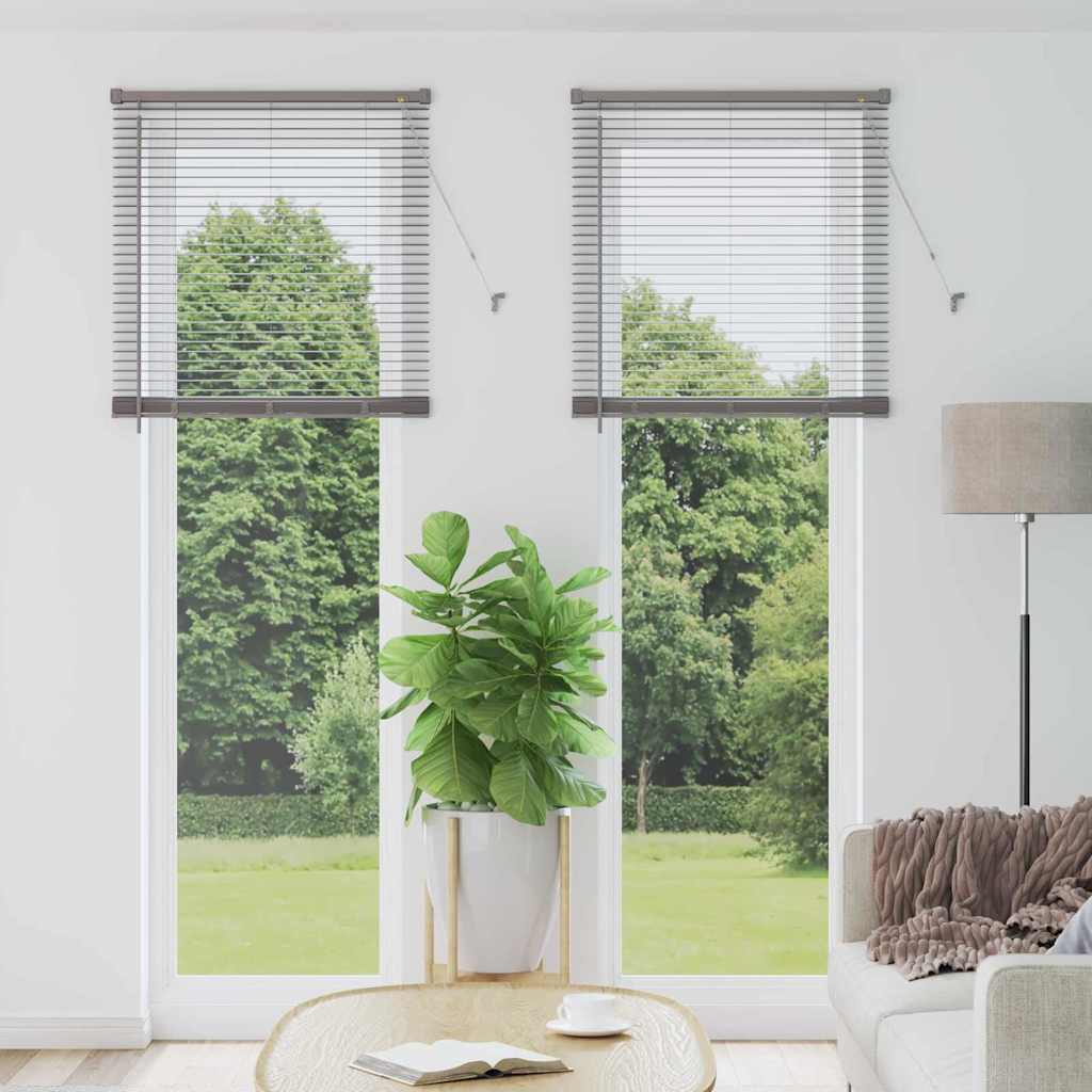 Tendaggi a veneziana Argento 220 x 80 cm Alluminio | homemem39