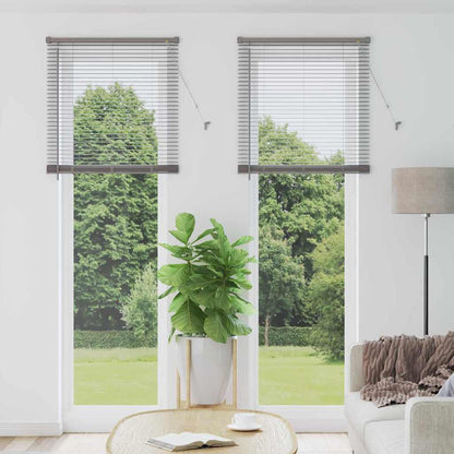 Tendaggi a veneziana Argento 220 x 80 cm Alluminio | homemem39
