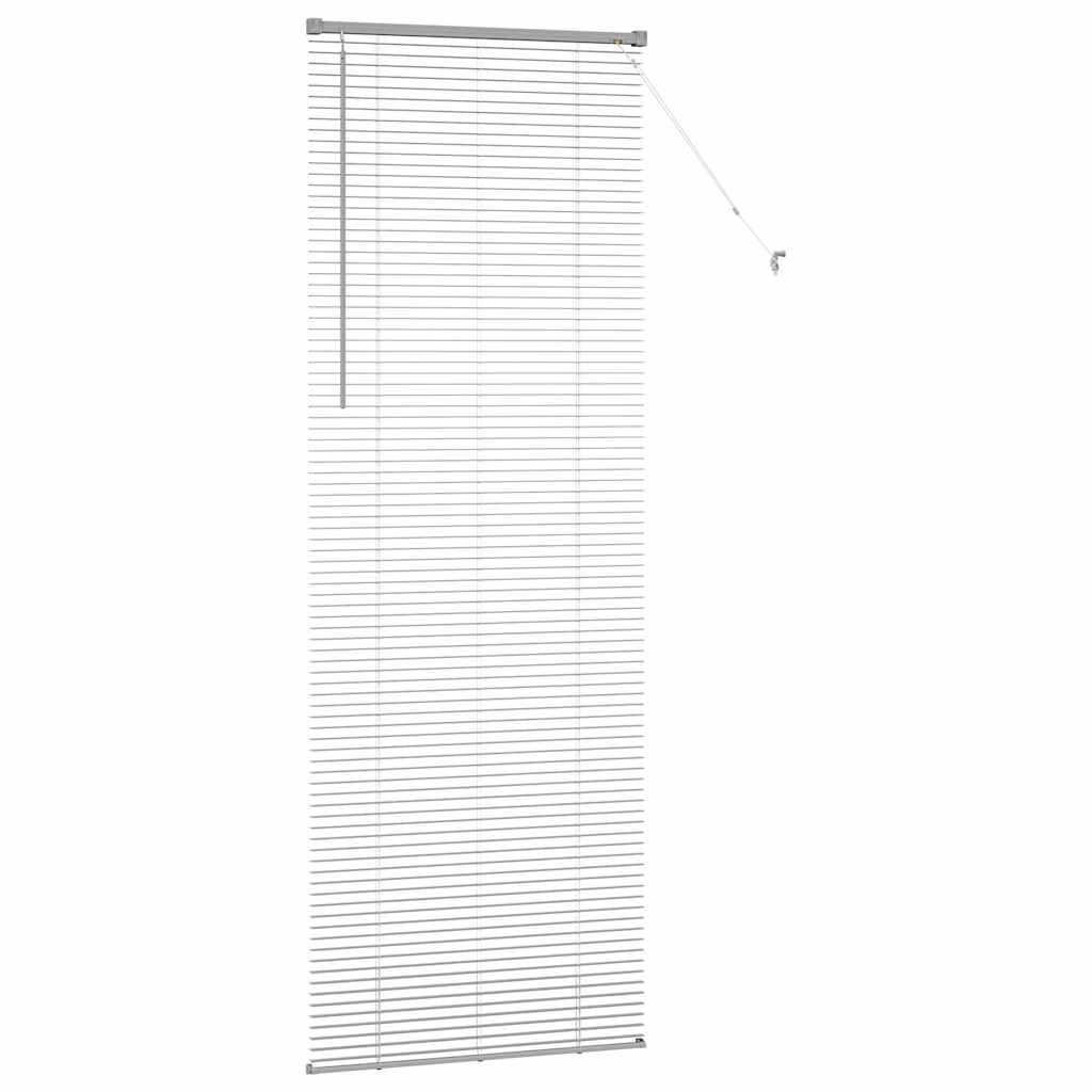 Tendaggi a veneziana Argento 220 x 80 cm Alluminio | homemem39