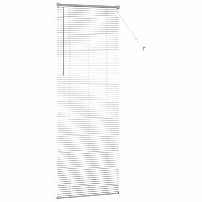 Tendaggi a veneziana Argento 220 x 80 cm Alluminio | homemem39