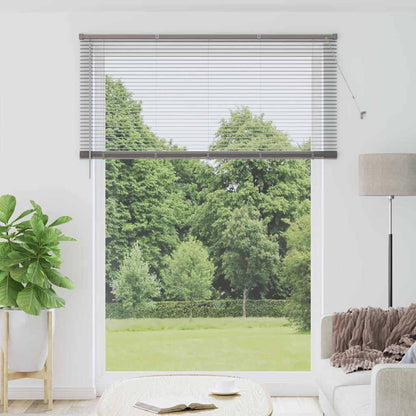 Tendaggi a veneziana Argento 220 x 155 cm Alluminio | homemem39