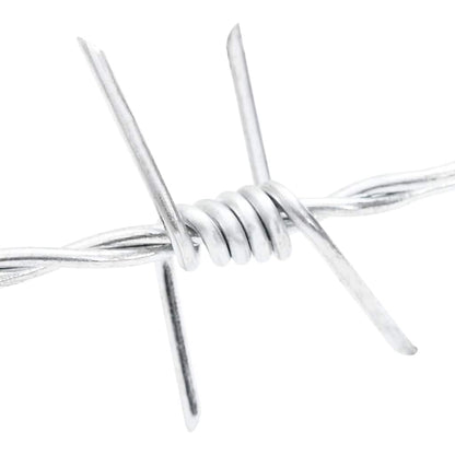 Fil di Ferro Spinato Argento 50 m Acciaio Zincato a Caldo