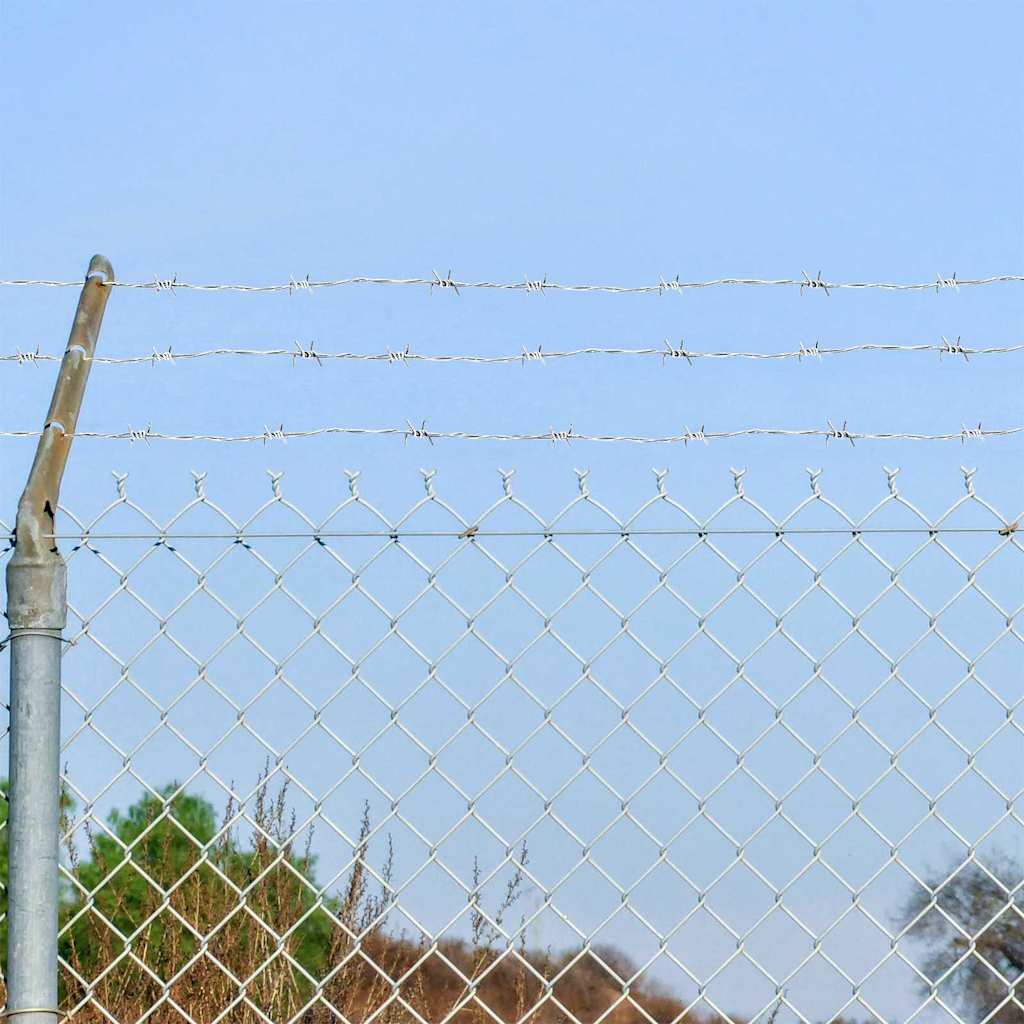 Fil di Ferro Spinato Argento 50 m Acciaio Zincato a Caldo