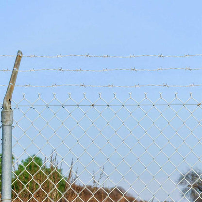 Fil di Ferro Spinato Argento 50 m Acciaio Zincato a Caldo