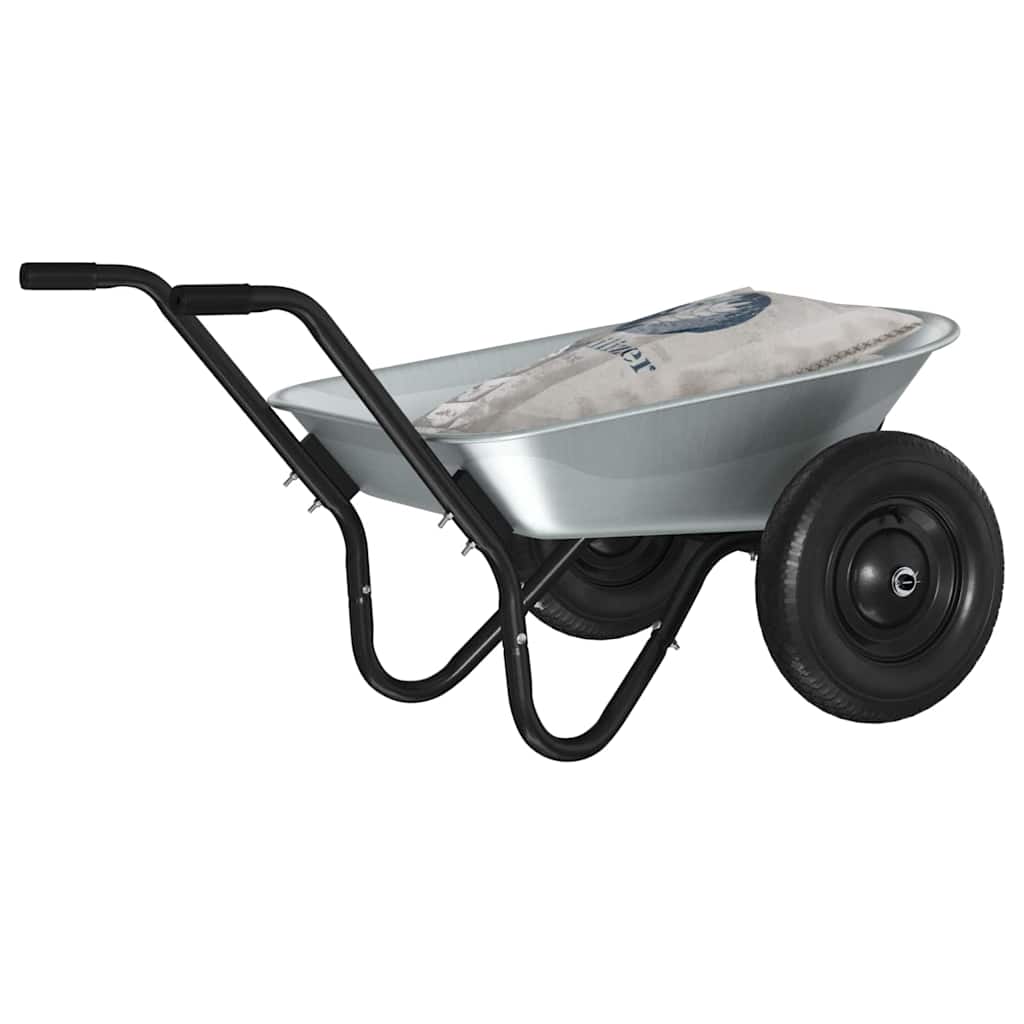 Carriole Argento e Nero 124 x 73 x 65 cm Acciaio
