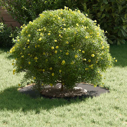 adatto per Anello d'Albero Piatto Nero Ø30 / 60 cm Acciaio