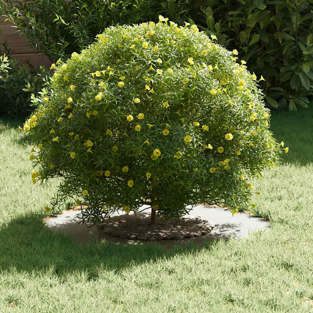 adatto per Anello d'Albero Piatto Bianco Ø30 / 60 cm Acciaio