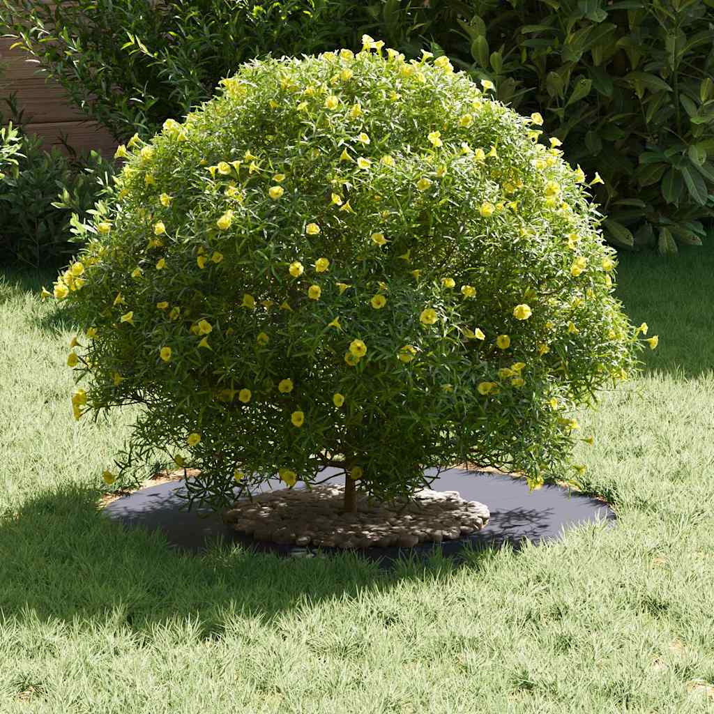 adatto per Anello d'Albero Piatto Antracite Ø30 / 60 cm Acciaio