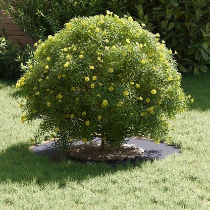 adatto per Anello d'Albero Piatto Antracite Ø30 / 60 cm Acciaio