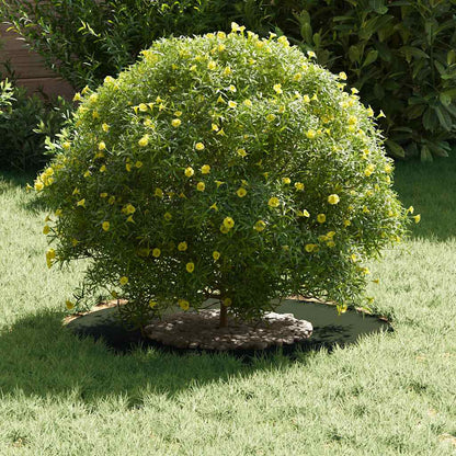 adatto per Anello d'Albero Piatto Oliver verde Ø30 / 60 cm