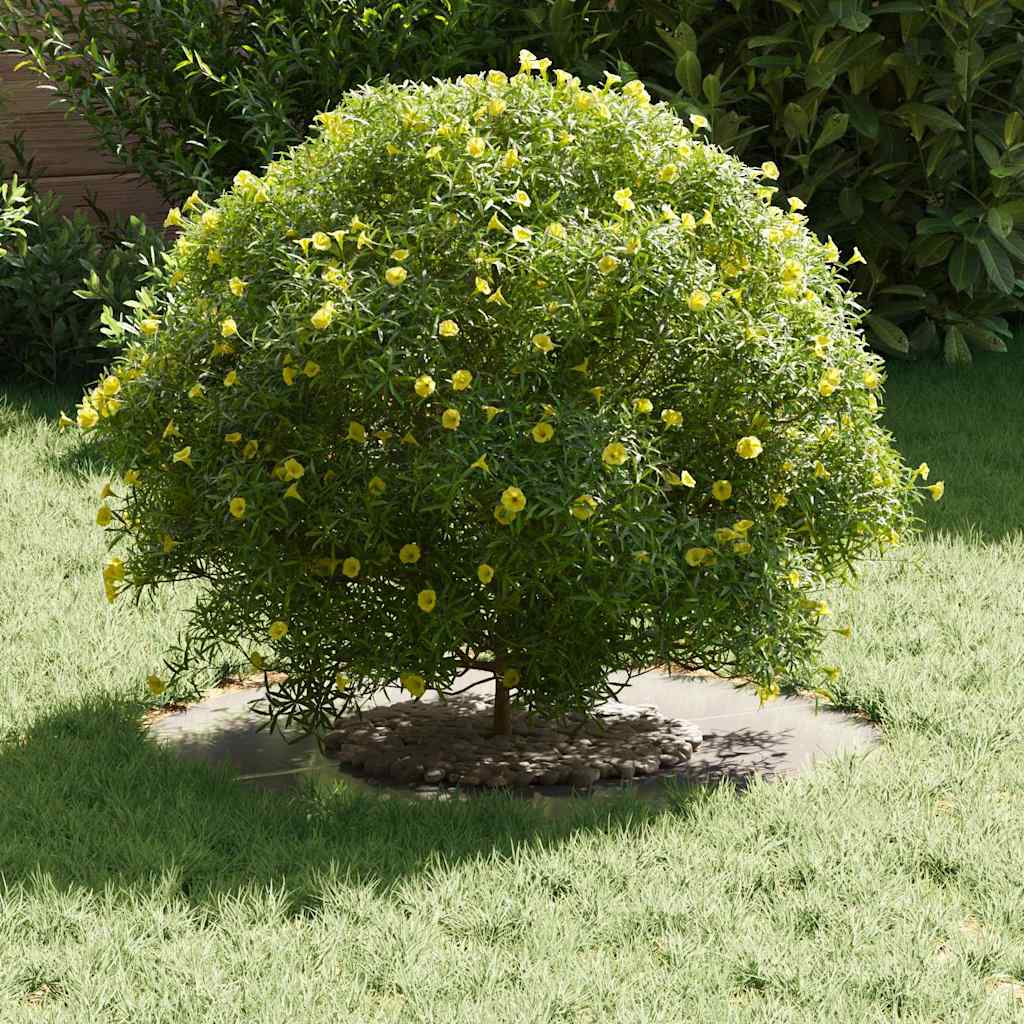 adatto per Anello d'Albero Piatto Argento Ø30 / 60 cm