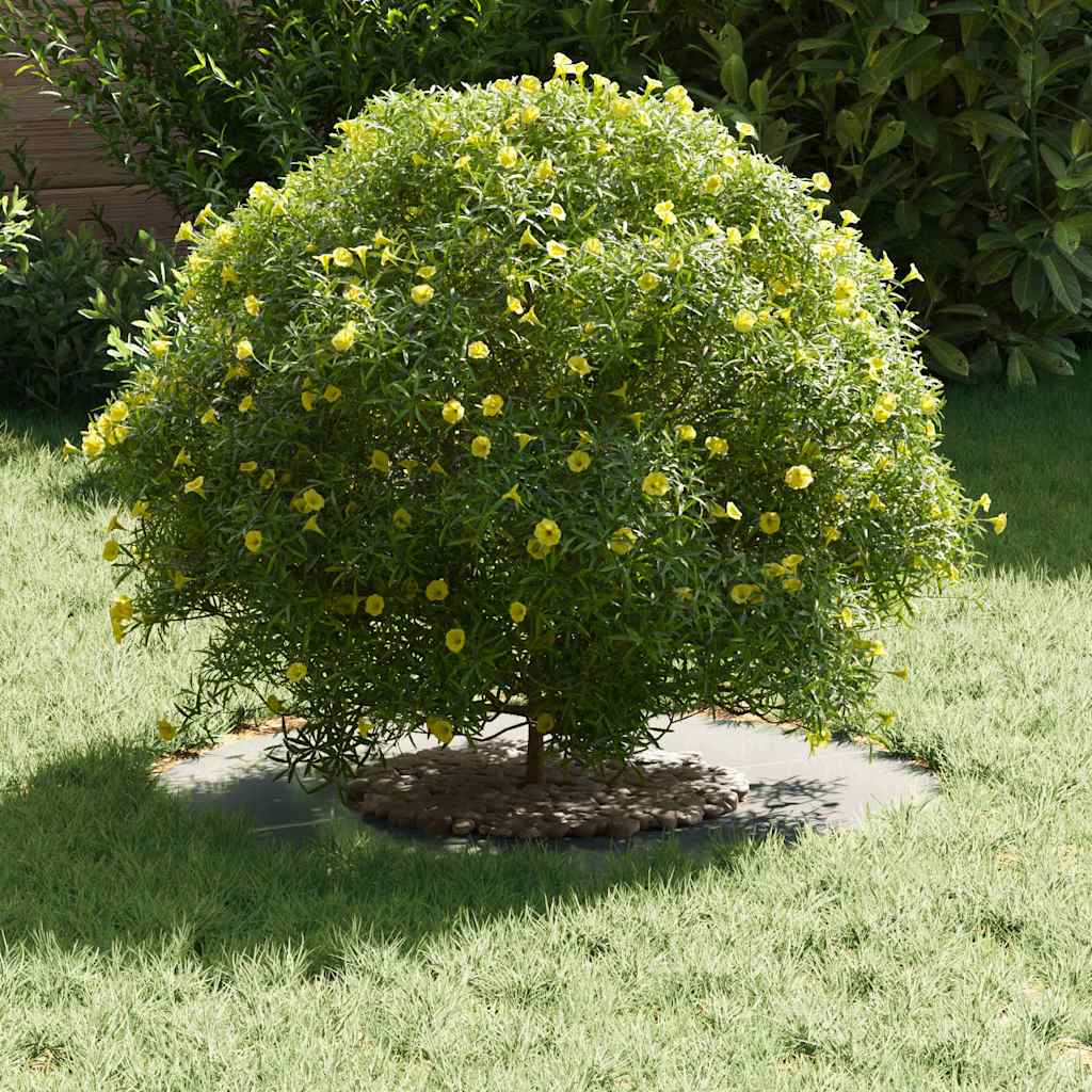 adatto per Anello d'Albero Piatto Argento Ø30 / 60 cm