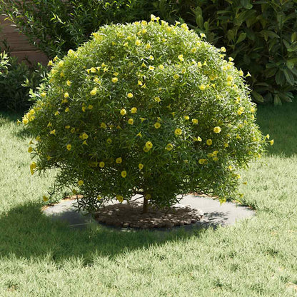 adatto per Anello d'Albero Piatto Argento Ø30 / 60 cm