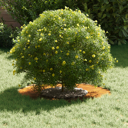 adatto per Anello d'Albero Piatto Marrone Ø30 / 60 cm