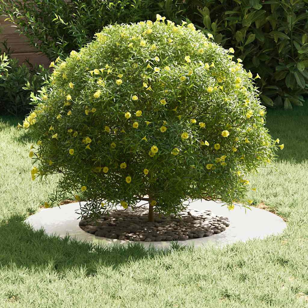 adatto per Anelli d'Albero Piatto 5 pcs Argento Ø40 / 70 cm