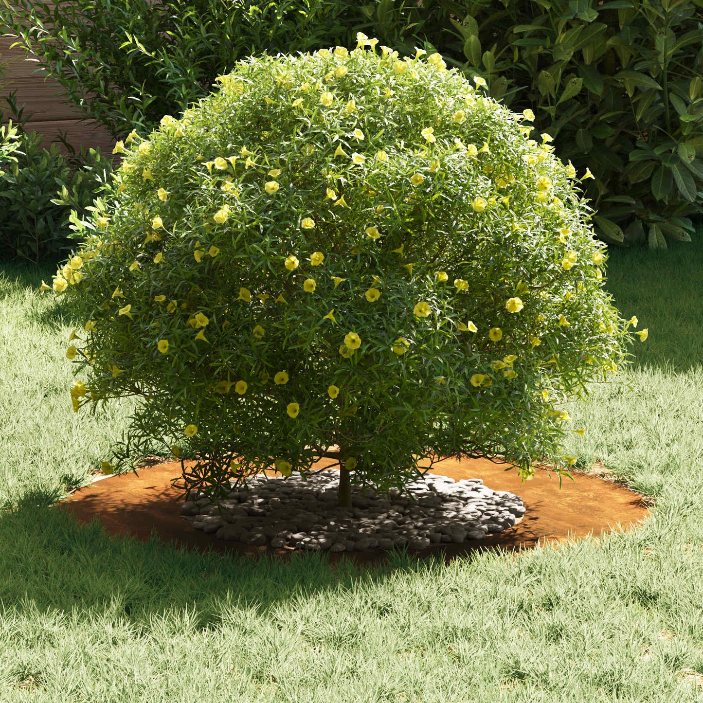 adatto per Anelli d'Albero Piatto 5 pcs Marrone Ø40 / 70 cm