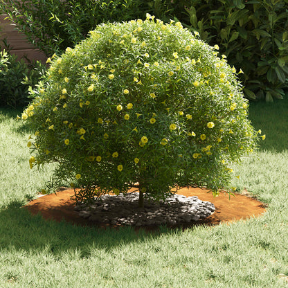 adatto per Anelli d'Albero Piatto 5 pcs Marrone Ø40 / 70 cm