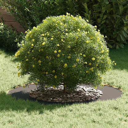 adatto per Anelli d'Albero Piatto 5 pcs Nero Ø50 / 80 cm Acciaio