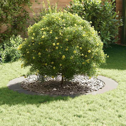 adatto per Anelli d'Albero Piatto 5 pcs Argento Ø90 / 120 cm