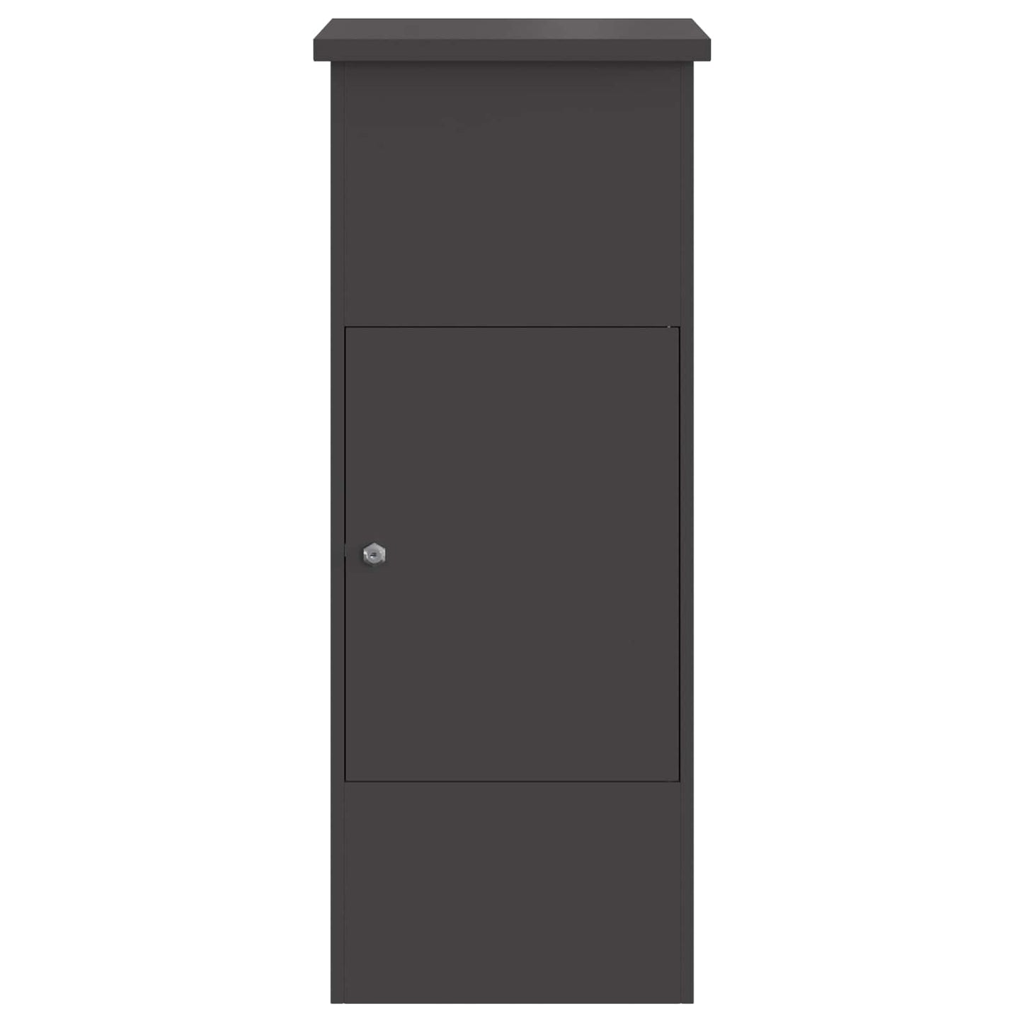 Cassetta per pacchi con porta Nero 44,5 x 29 x 110,5 cm Acciaio | homemem39