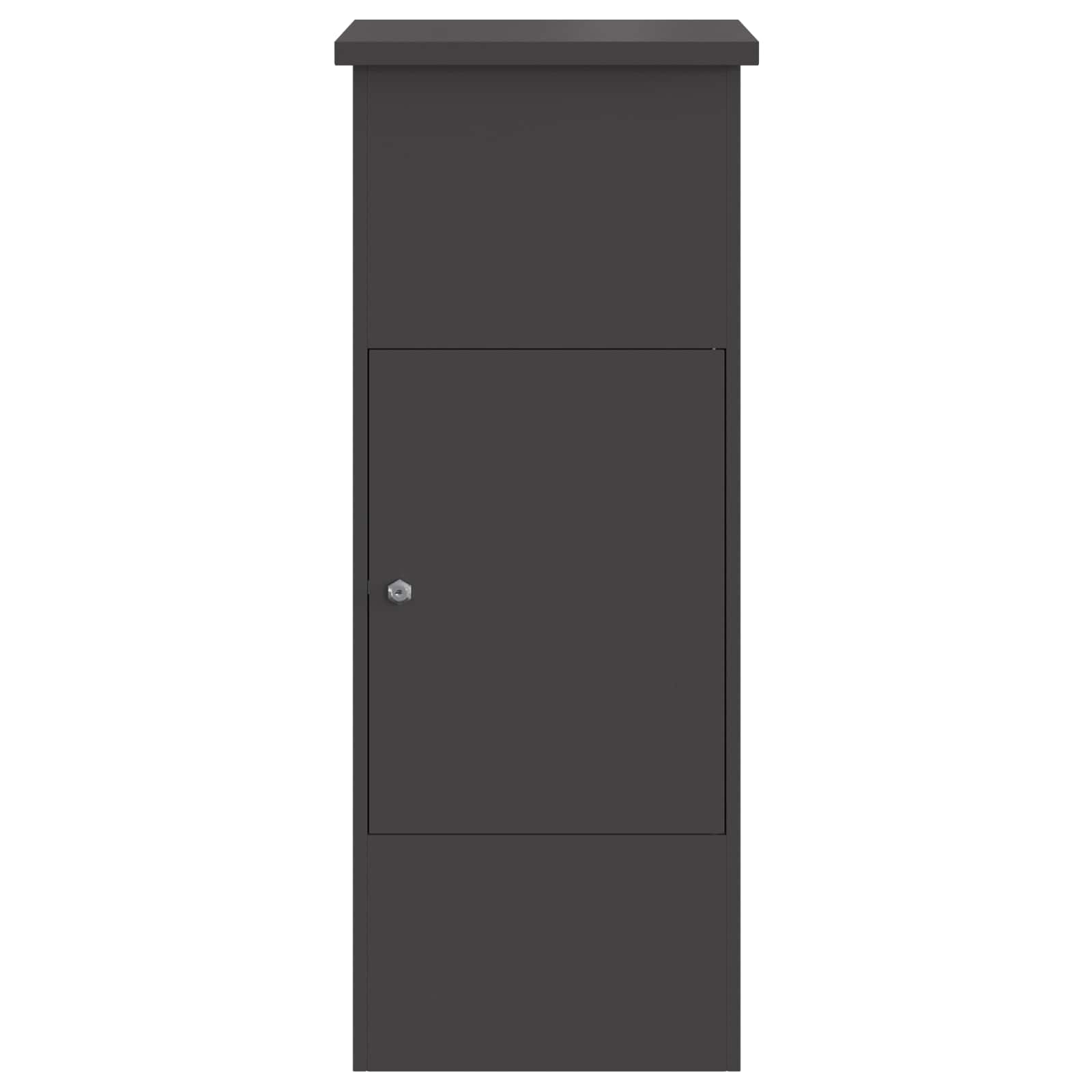 Cassetta per pacchi con porta Nero 44,5 x 29 x 110,5 cm Acciaio | homemem39