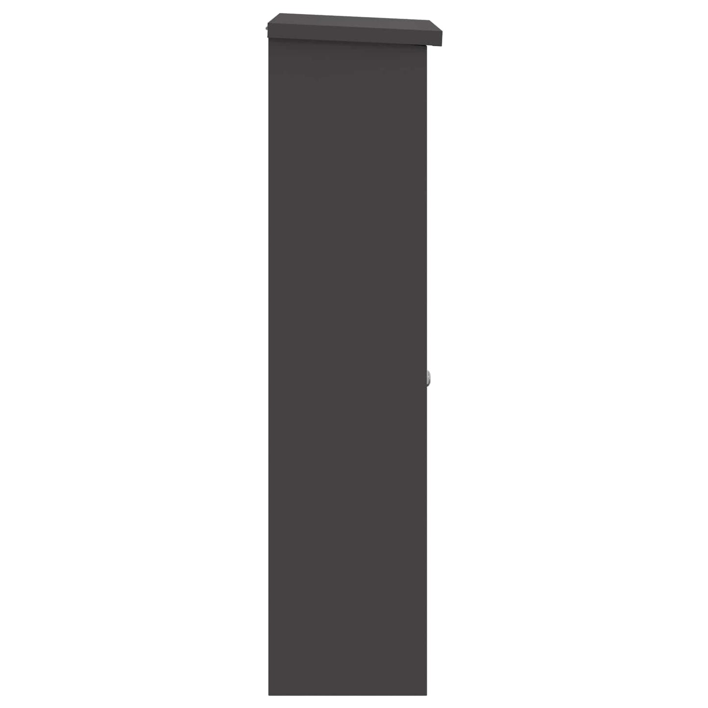 Cassetta per pacchi con porta Nero 44,5 x 29 x 110,5 cm Acciaio | homemem39