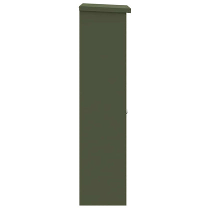 Cassetta per pacchi Oliver verde 44,5 x 29 x 110,5 cm Acciaio | homemem39