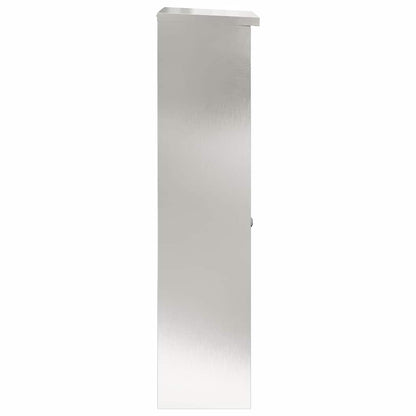 Cassetta per pacchi con porta Argento 44,5 x 29 x 110,5 cm