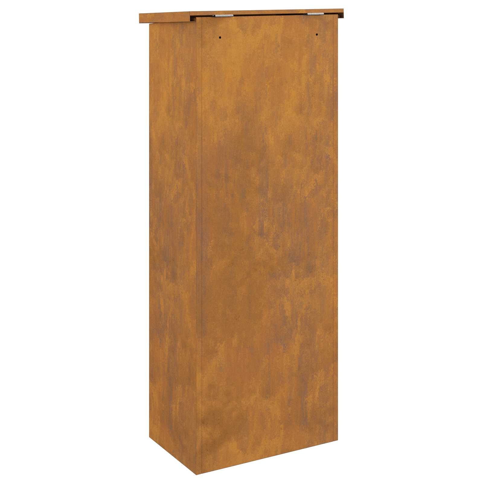 Cassetta per pacchi con porta Ruggine 44,5 x 29 x 110,5 cm | homemem39