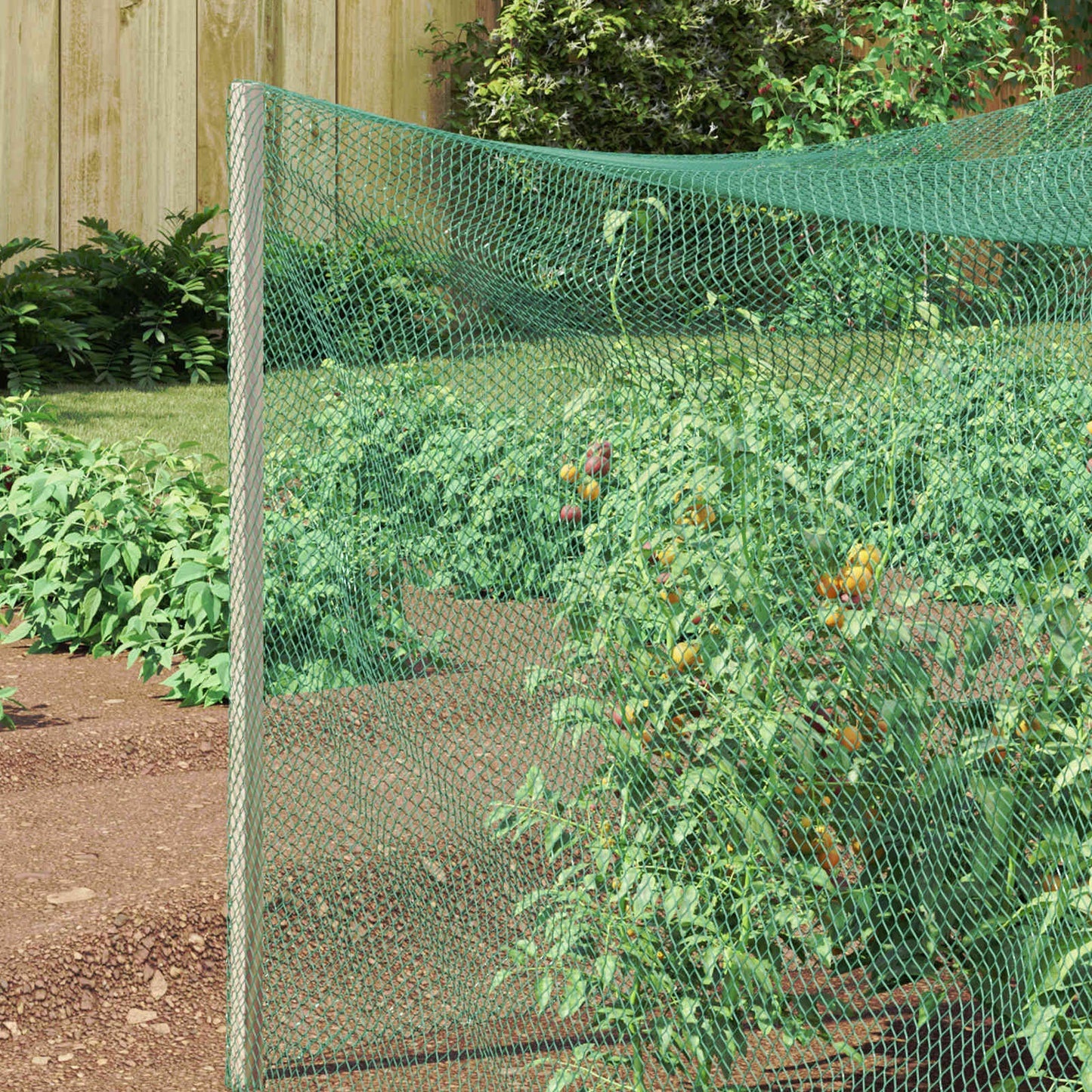 Rete di Protezione per Uccelli Verde 4 x 25 m Polietilene