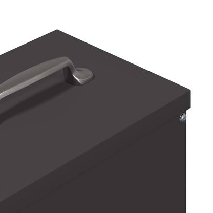 Feeder per pollo Nero 20 x 25 x 35 cm Acciaio laminato a freddo