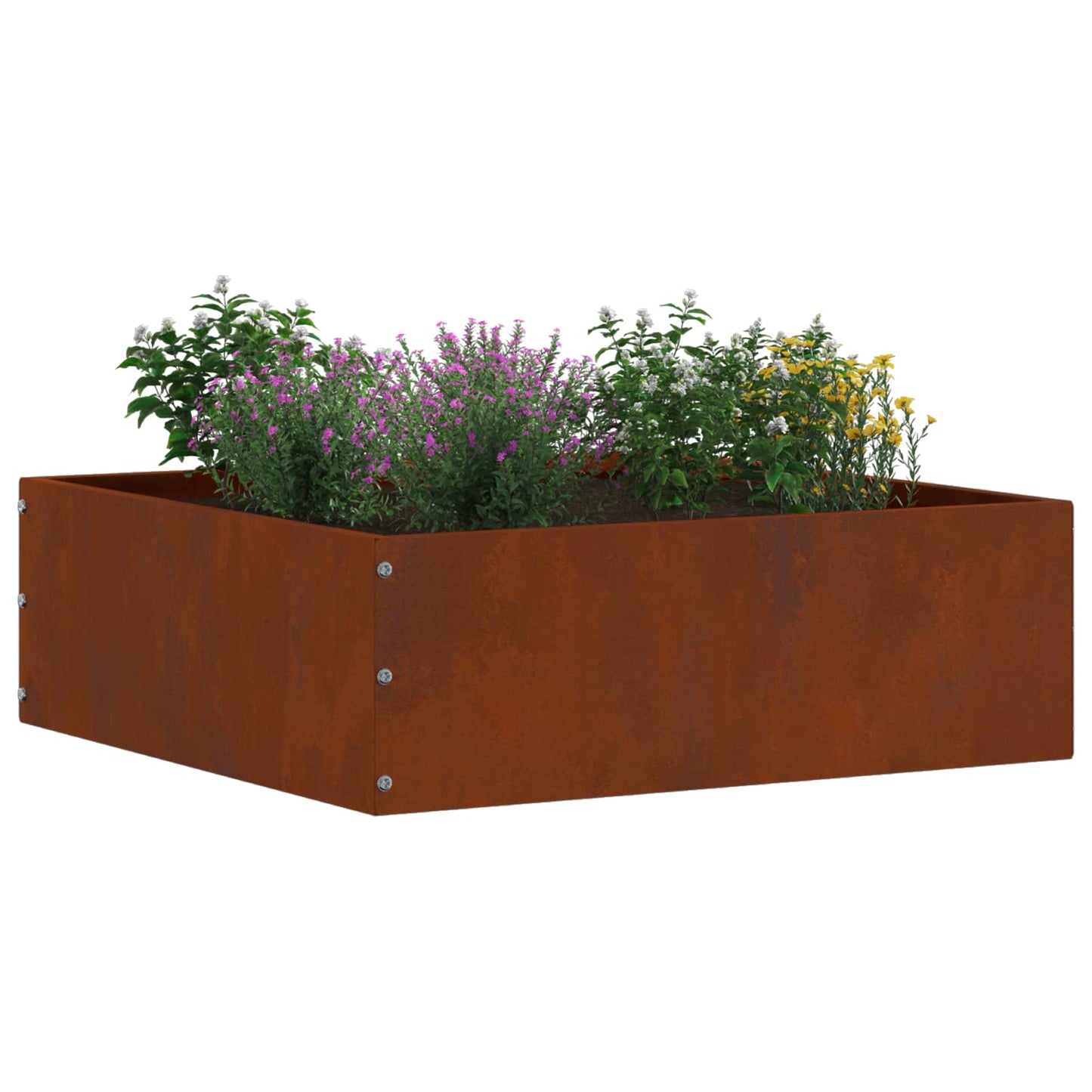 Bordura per Prato Ruggine 40 x 40 x 13 cm | homemem39