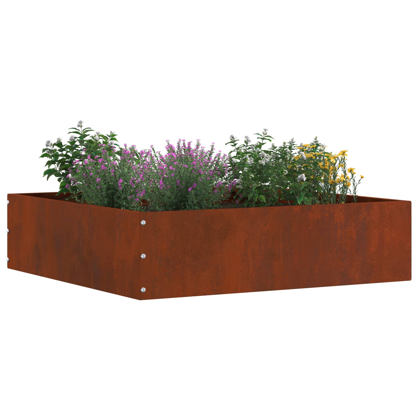Bordura per Prato Ruggine 50 x 50 x 13 cm | homemem39