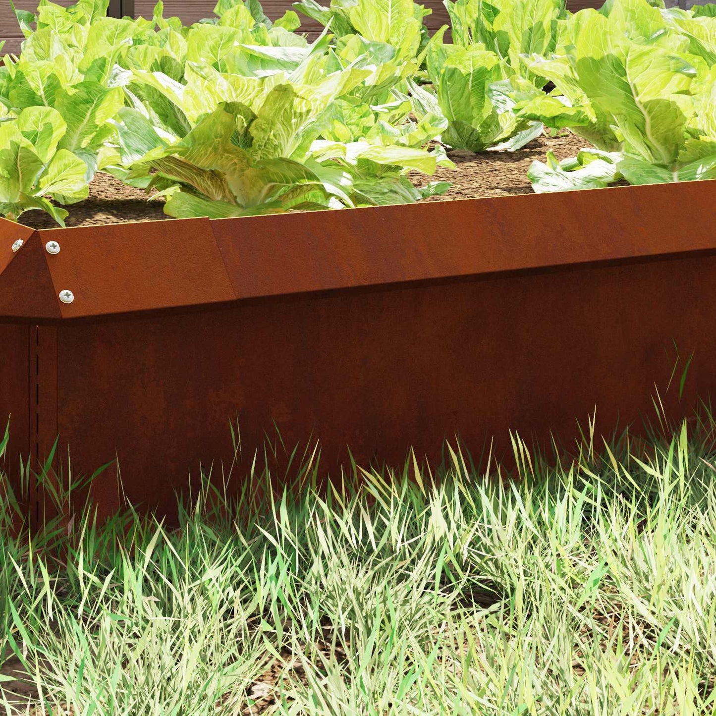 Recinto per lumache Ruggine 100 x 3,5 x 25 cm | homemem39