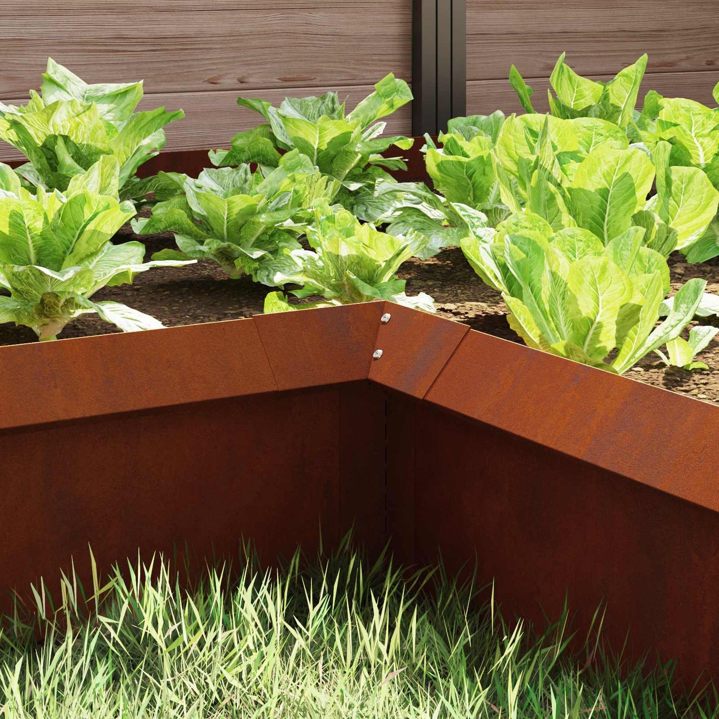 Recinto per lumache 4 pcs Ruggine 10 x 10 x 25 cm