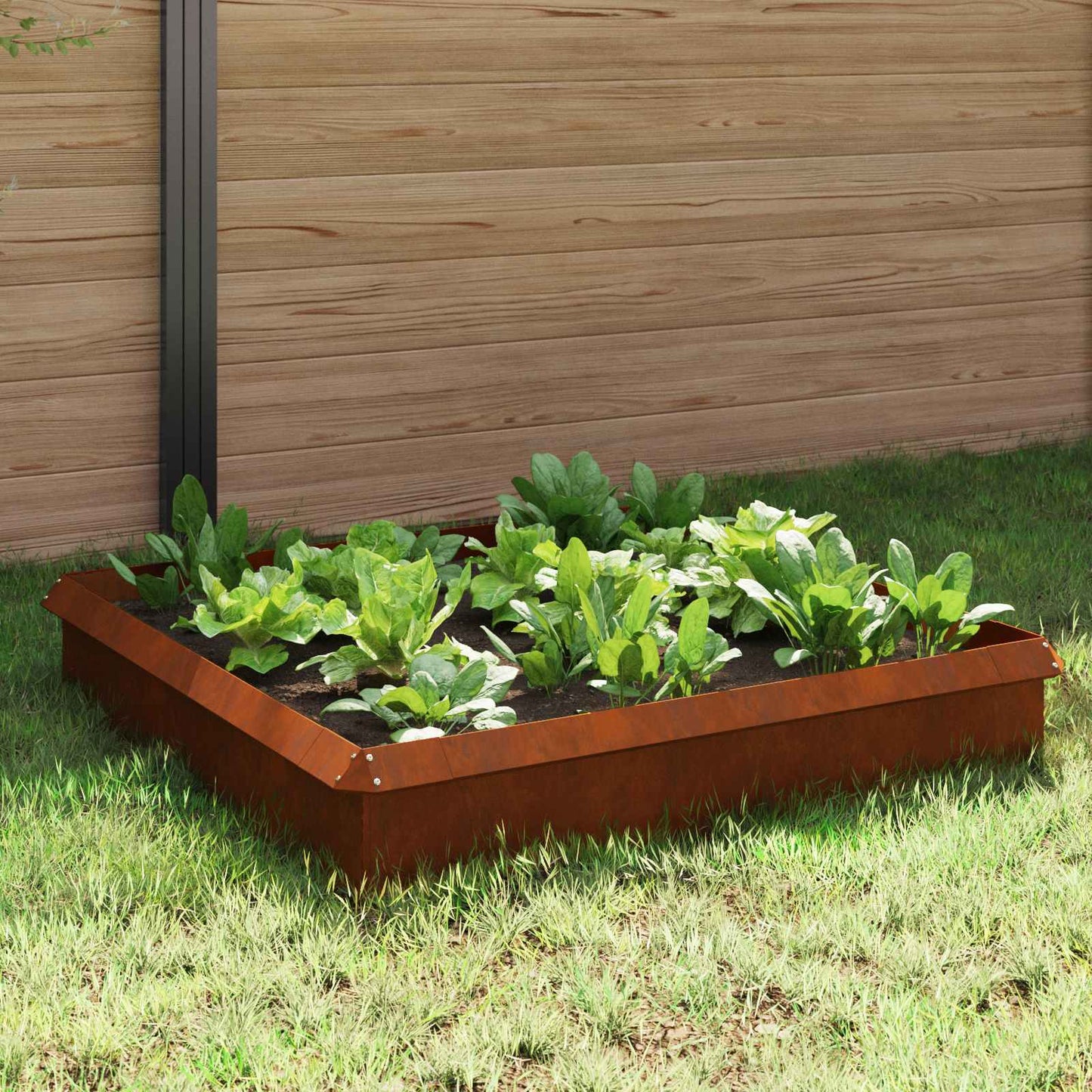 Recinzioni per lumache 8 pcs Ruggine | homemem39