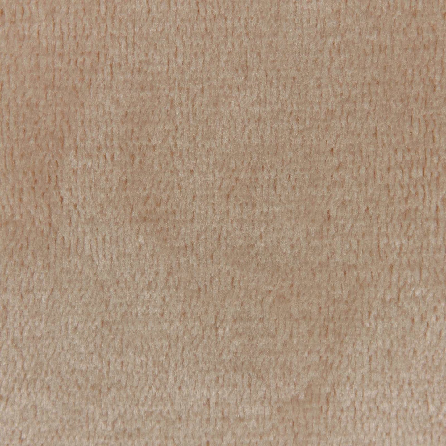 Coperta Cammello 130 x 150 cm Panno