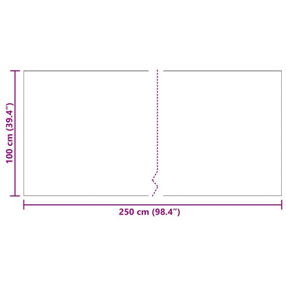 Runner in Moquette Grigio chiaro 100 x 250 cm Tessuto
